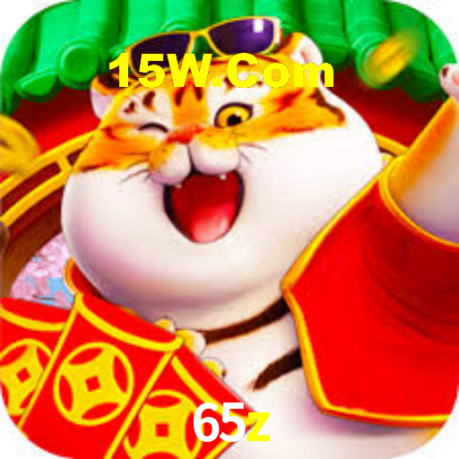 65z App Interface
